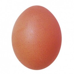 HUEVO COLORADO UNIDAD AA