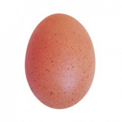 HUEVO COLORADO UNIDAD EXTRA