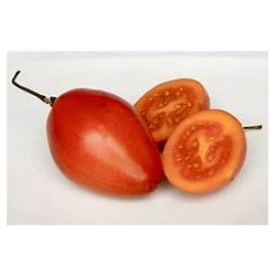 TOMATE DE ARBOL