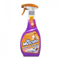 LIMPIADOR MR MUSCULO...