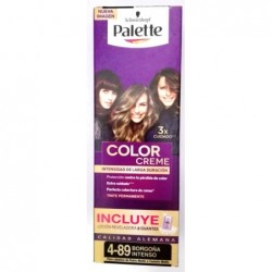 PALETTE TUBO 4-89 BORGOÑA...