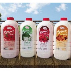 YOGURT DEL NORTE FRUTOS...