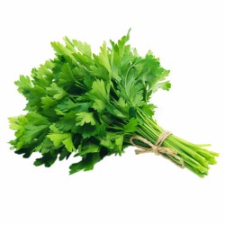 PEREJIL