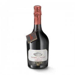 VINO TERRA CALDA LAMBRUSCO...