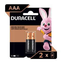 PILAS DURACELL AAA x2