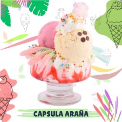 CAPSULA ARAÑA