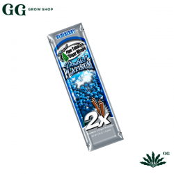 BLON BLUNT WRAP X 2 BLUEBERRY