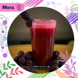 JUGO DE MORA EN AGUA