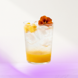 ✨Soda Solsticio