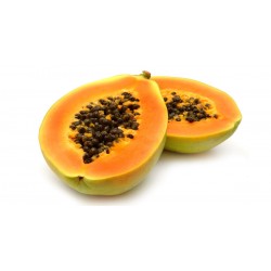 PAPAYA COMUN