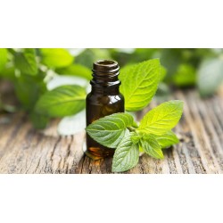 ACEITE ESENCIAL DE MENTA
