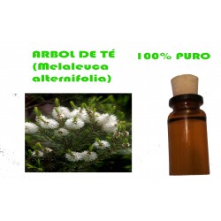 ACEITE ESENCIAL DE ÁRBOL DE TÉ