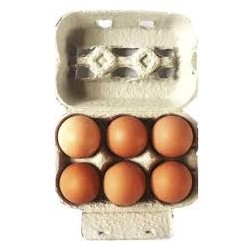 HUEVOS X6
