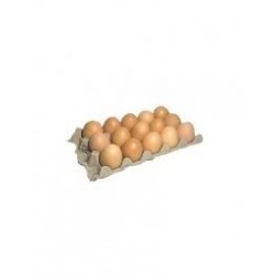 HUEVOS X 15