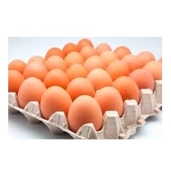 HUEVOS TIPO B