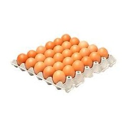 HUEVOS PANAL AA