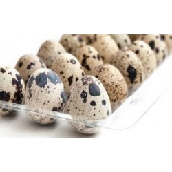 HUEVOS DE CODORNIZ