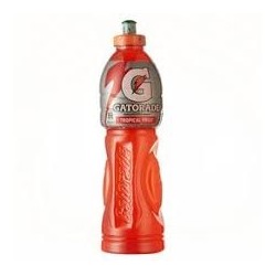 GATORADE CHUPO 1L FRUTOS ROJOS