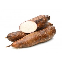 YUCA