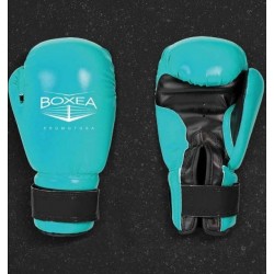 Guantes de Boxeo Boxea