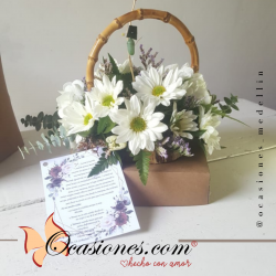 Crisalida de mariposa