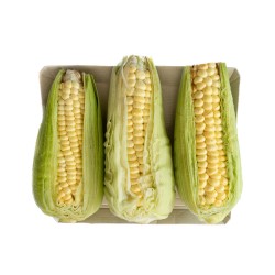 MAZORCA SIN CAPACHO PAQUETE