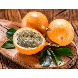 GRANADILLA und