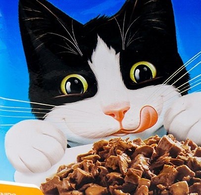 ALIMENTACIÓN CAT